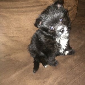 Meet your Posher, Sherry